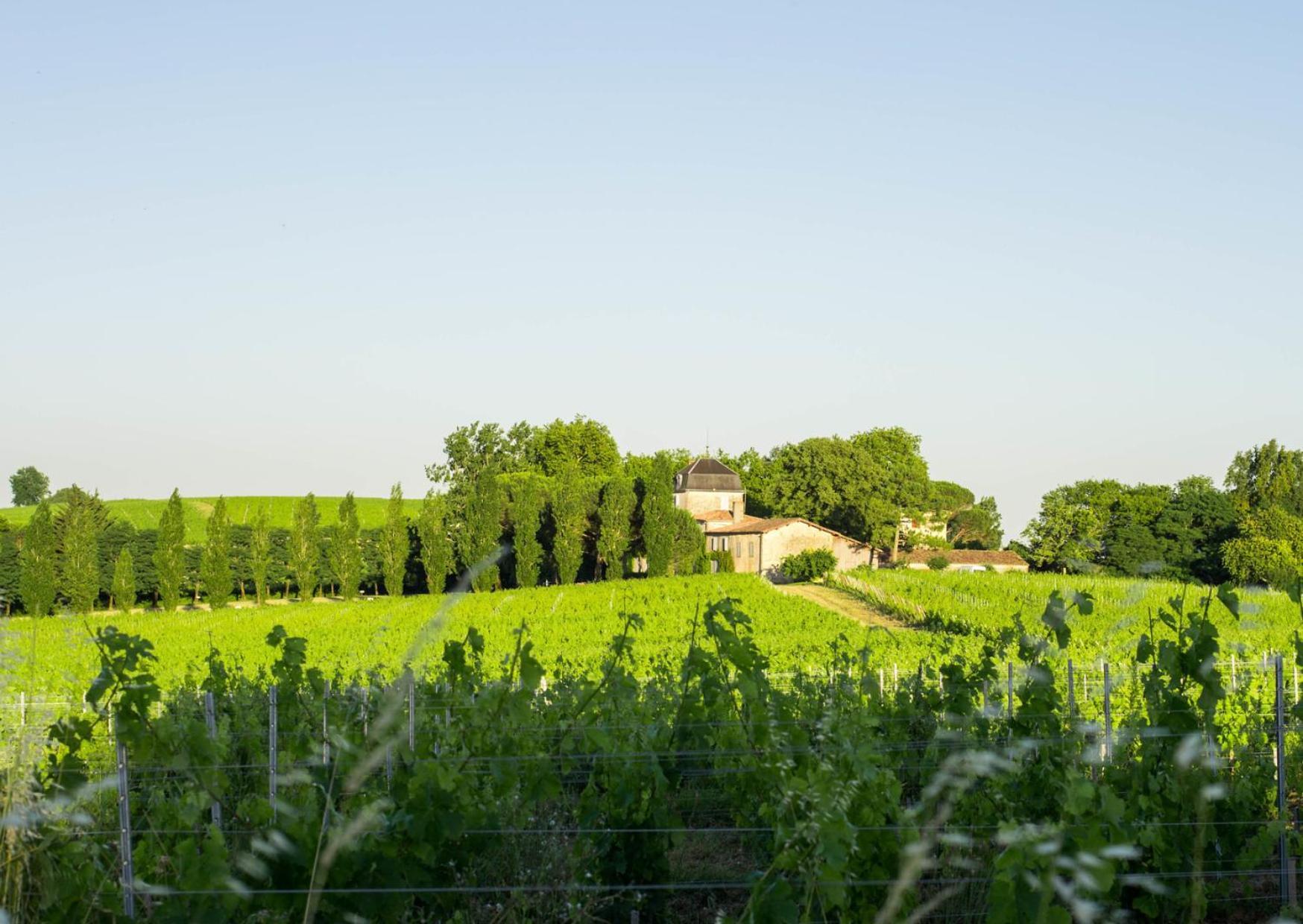 Atena Bordeaux Sud Est Creon - Velo Friendly Exterior foto