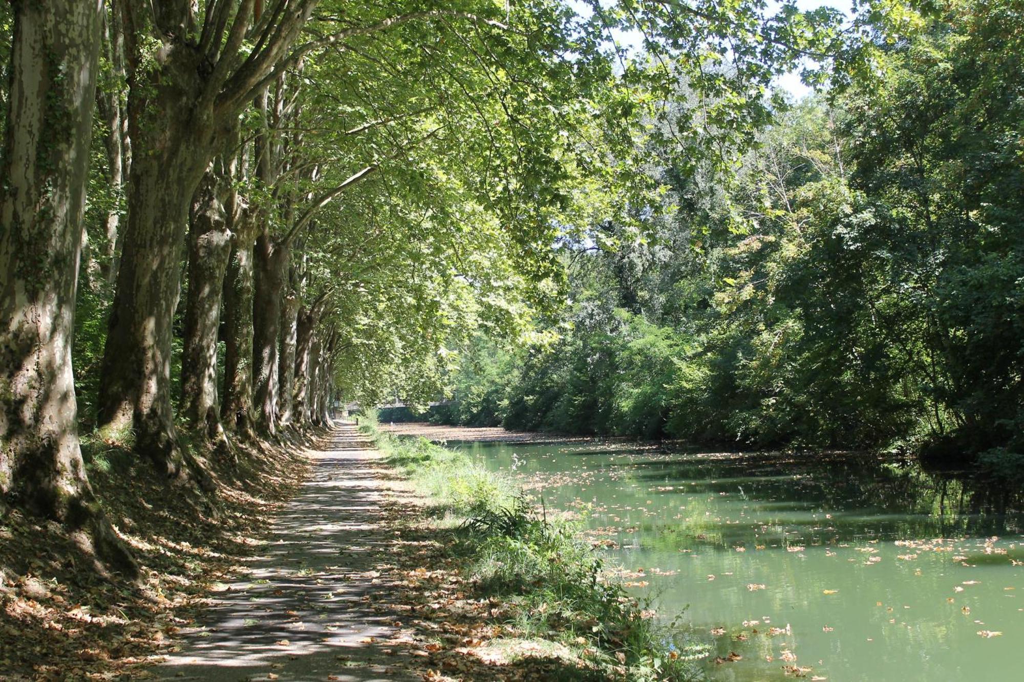 Atena Bordeaux Sud Est Creon - Velo Friendly Exterior foto